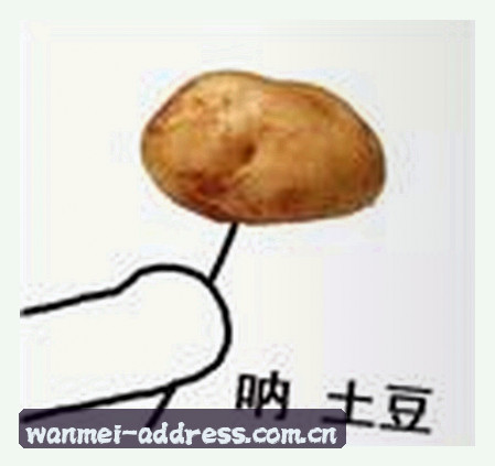 张杰